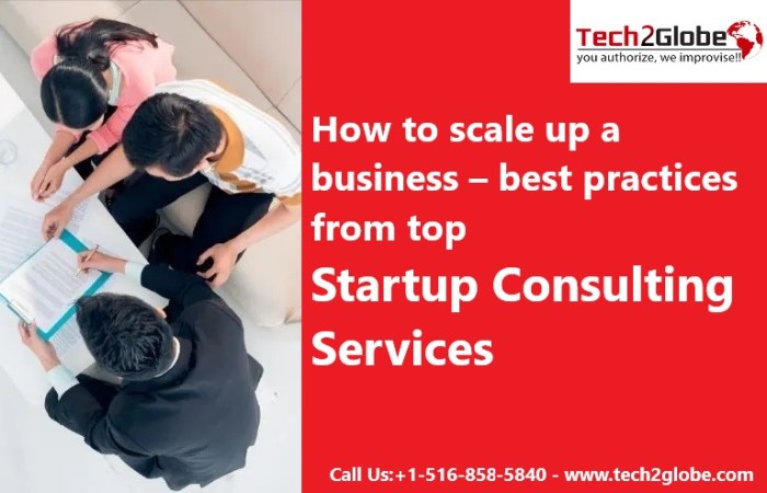 How Business Consultants Can Help You Scale Faster