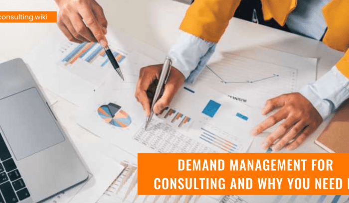 Why Business Consulting Services Are in High Demand