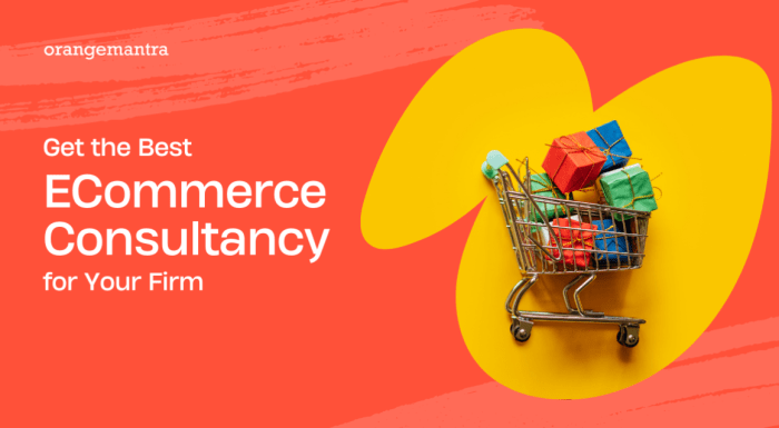 The Best Business Consultants for E-Commerce Companies