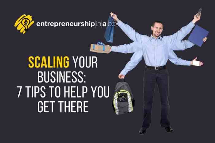 How Business Consultants Can Help You Scale Faster