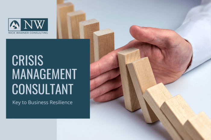 The Role of Business Consultants in Crisis Management